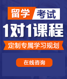 日妣黄色2008留学考试一对一精品课